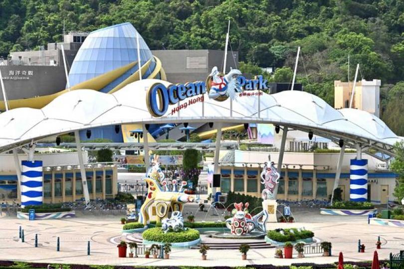 海洋公園全天候照顧大熊貓寶寶 海洋公園全天候照顧大熊貓寶寶