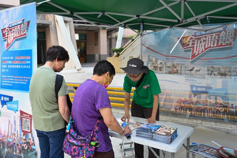 禁餵野鴿新例生效後執法行動加強 禁餵野鴿新例生效後執法行動加強