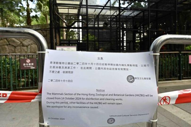 九猴染類鼻疽引發敗血病死亡 九猴染類鼻疽引發敗血病死亡