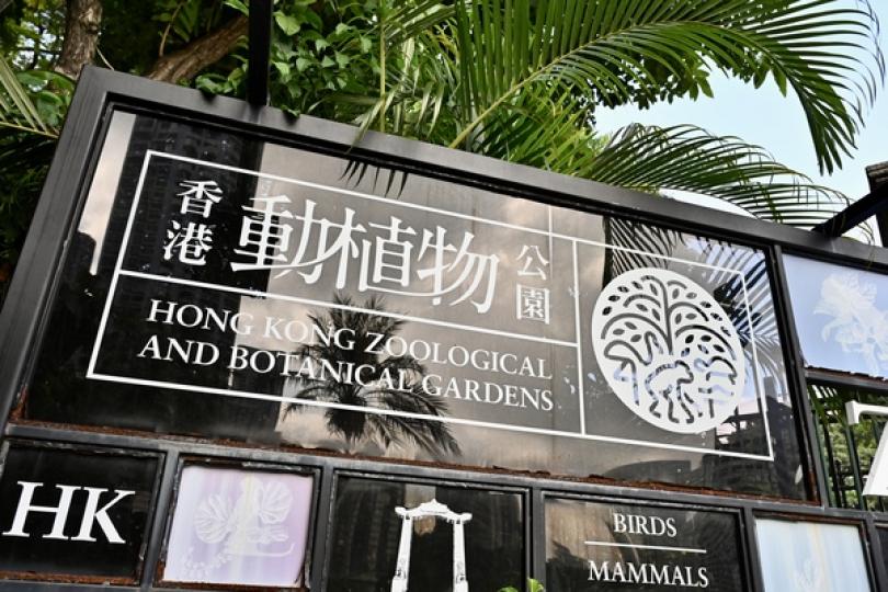 動植物公園再有一松鼠猴死亡 動植物公園再有一松鼠猴死亡