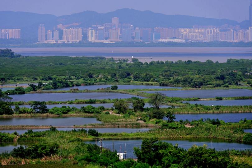 濕地保育公園系統研究報告公布 濕地保育公園系統研究報告公布