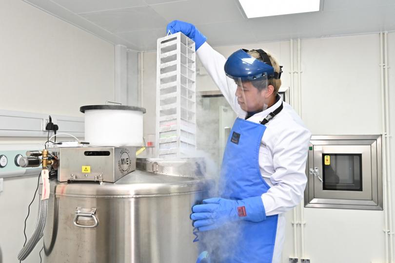 低溫儲存:  生物樣本庫設兩個液氮凍存系統。