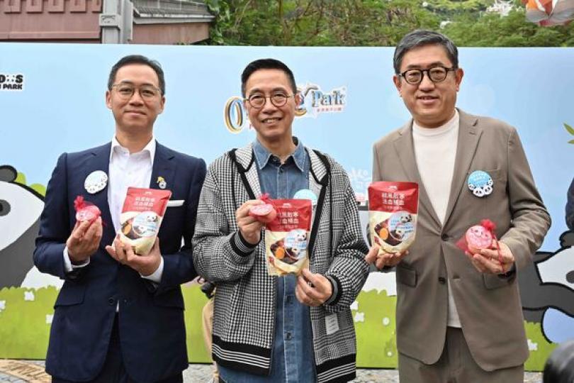 大熊貓安安可可下月與公眾見面 大熊貓安安可可下月與公眾見面