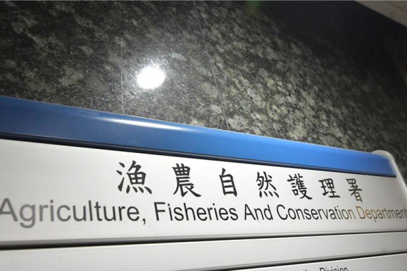 大澳擱淺鯨魚死因待解剖研究 大澳擱淺鯨魚死因待解剖研究