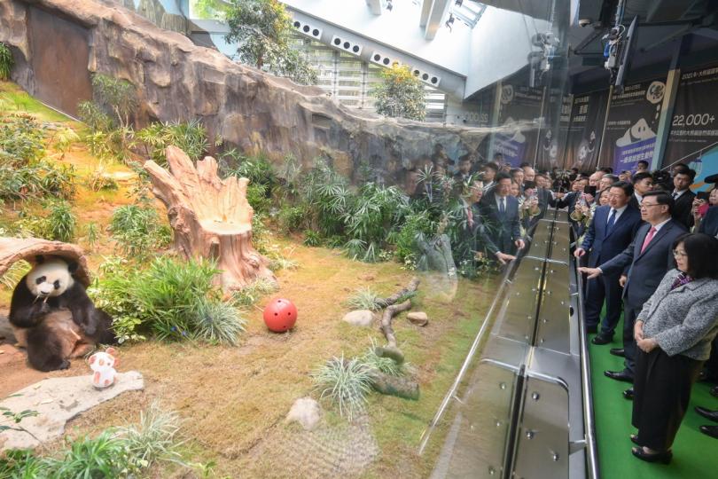 親善大使: 李家超(前排右二)與周霽(前排右三)在海洋公園參觀香港賽馬會四川奇珍館。 親善大使: 李家超(前排右二)與周霽(前排右三)在海洋公園參觀香港賽馬會四川奇珍館。