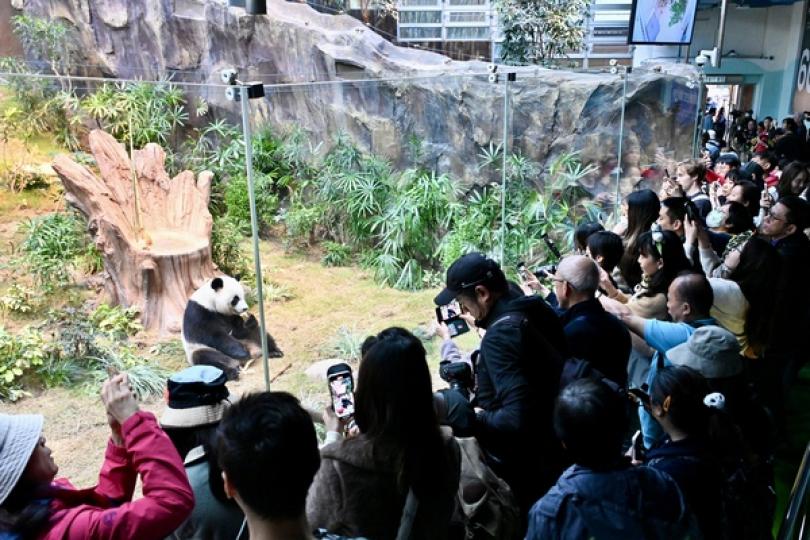 安心護理 可愛日常 安心護理 可愛日常