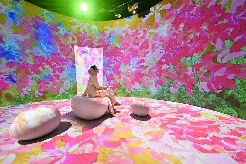 紫荊盛放:  以多元和綠色城市為主題的展區利用投影展現香港迷人景色。