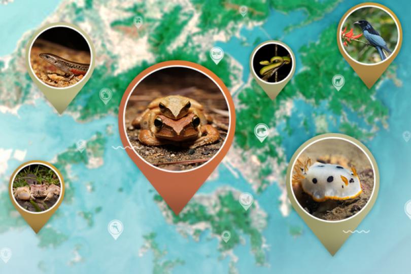 生物多樣性地理信息系統推出 生物多樣性地理信息系統推出