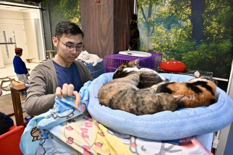 商鋪免租 夢想共築 商鋪免租 夢想共築