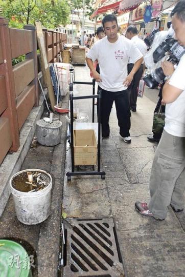 兩隻初生紅耳鵯大小猶如乒乓球，因天雨關係及其中一隻跌進坑渠，身體濕透，最終因身體虛弱，同需人道毁滅。（劉友光攝）