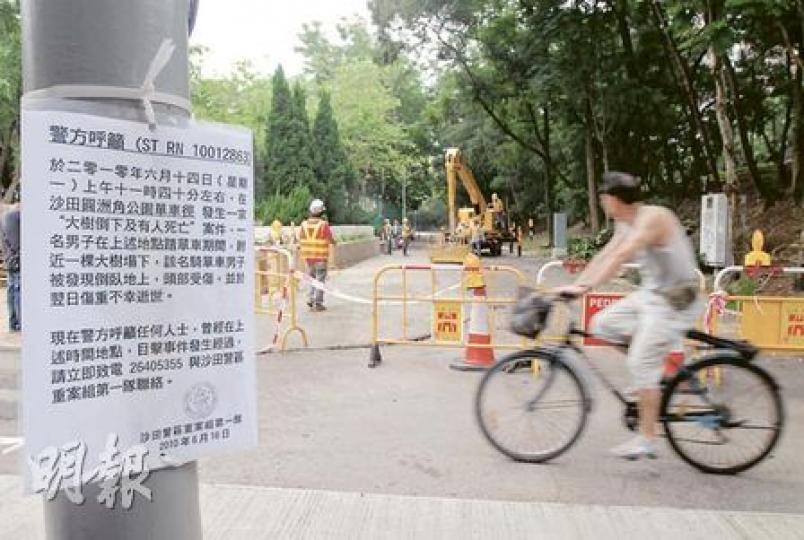 沙田警區重案組接手調查塌樹事故，警方昨在案發單車徑一帶張貼告示，尋找目擊者。（劉友光攝）