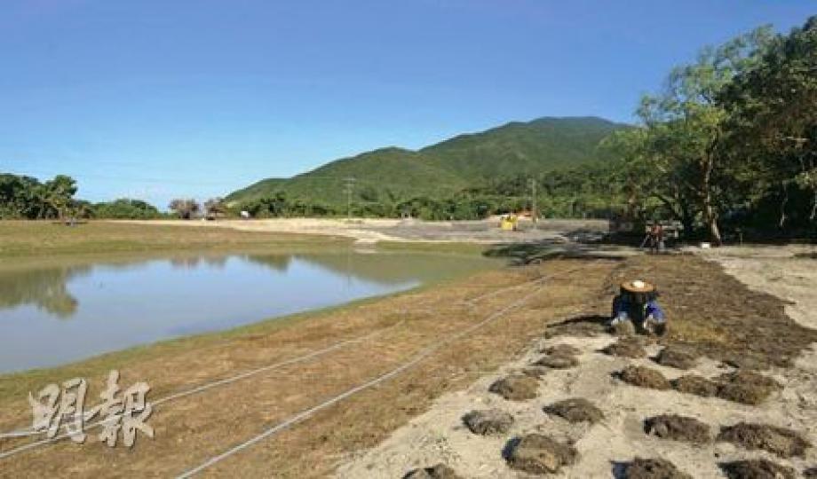 大浪西灣土地已挖了兩個「人工湖」,各如足球場大小,但據業主魯連城所說,新建的水池將開放予公眾使用,其他位置將用作有機農種,不會作商業用途。(余俊亮攝)政府表示,西貢大浪西灣的挖掘工程主要在私人土地,但部分政府土地亦受影響。西貢地政處已採取土地管制行動,在政府土地上豎立告示牌,防止政府土地再被挖掘或佔用。(余俊亮攝)譴責工程的Facebook群組在4日內有3.4萬人參加,群組昨晚首次開會,逾30多人出席並成立西貢大浪灣關注組,計劃周六到漁護署總部請願。(余俊亮攝) 大浪西灣土地已挖了兩個「人工湖」,各如足球場大小,但據業主魯連城所說,新建的水池將開放予公眾使用,其他位置將用作有機農種,不會作商業用途。(余俊亮攝)政府表示,西貢大浪西灣的挖掘工程主要在私人土地,但部分政府土地亦受影響。西貢地政處已採取土地管制行動,在政府土地上豎立告示牌,防止政府土地再被挖掘或佔用。(余俊亮攝)譴責工程的Facebook群組在4日內有3.4萬人參加,群組昨晚首次開會,逾30多人出席並成立西貢大浪灣關注組,計劃周六到漁護署總部請願。(余俊亮攝)