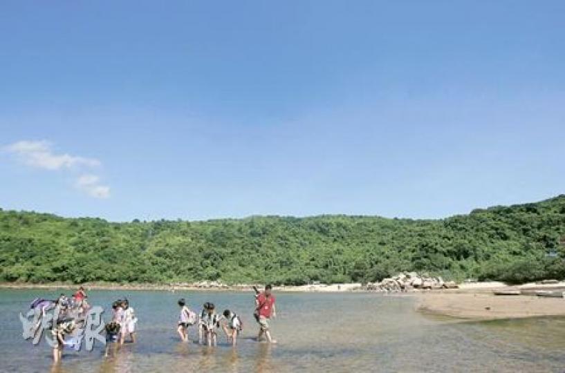 有發展商計劃在海下灣興建低密度住宅區,圖中綠林日後或會出現一排排石屎屋。有社區中心昨帶同小朋友到海下郊遊,於水中觀察海星,他們擔心日後的工程會影響環境。(林振東攝) 有發展商計劃在海下灣興建低密度住宅區,圖中綠林日後或會出現一排排石屎屋。有社區中心昨帶同小朋友到海下郊遊,於水中觀察海星,他們擔心日後的工程會影響環境。(林振東攝)