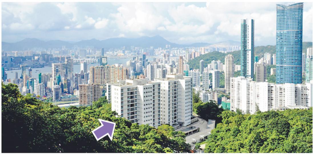 山頂聶歌信山道地皮(圖中箭嘴示)將於後天(周三)拍賣,業界估值由81億至115億元不等,每呎樓面地價介於2.5萬至3.5萬元,成交價或將成日後豪宅市場重要指標。(余俊亮攝) 山頂聶歌信山道地皮(圖中箭嘴示)將於後天(周三)拍賣,業界估值由81億至115億元不等,每呎樓面地價介於2.5萬至3.5萬元,成交價或將成日後豪宅市場重要指標。(余俊亮攝)