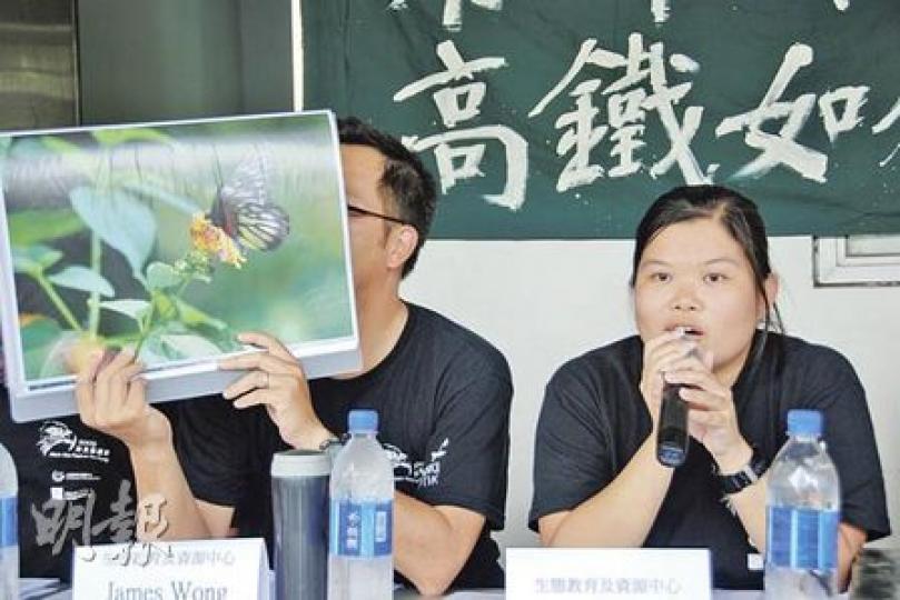 生態教育及資源中心教育事務經理張瑪珊博士稱,機構找到而港鐵環評報告中沒提及的物種有41種,包括常見的「報喜斑粉蝶」(圖左)。(歐文瀚攝) 生態教育及資源中心教育事務經理張瑪珊博士稱,機構找到而港鐵環評報告中沒提及的物種有41種,包括常見的「報喜斑粉蝶」(圖左)。(歐文瀚攝)
