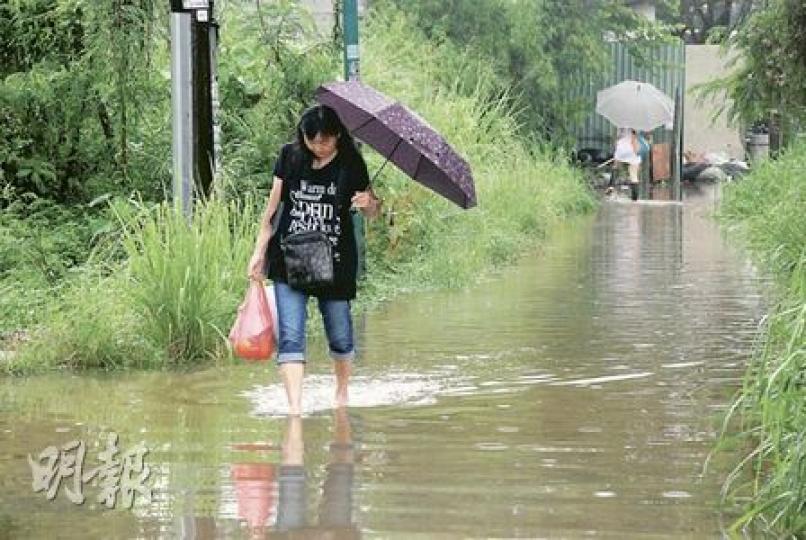 流浮山沙江圍一條長約30米的出入通道在大雨後水浸,水深高於腳眼,居民須涉水而行。(屈俊樂攝) 流浮山沙江圍一條長約30米的出入通道在大雨後水浸,水深高於腳眼,居民須涉水而行。(屈俊樂攝)