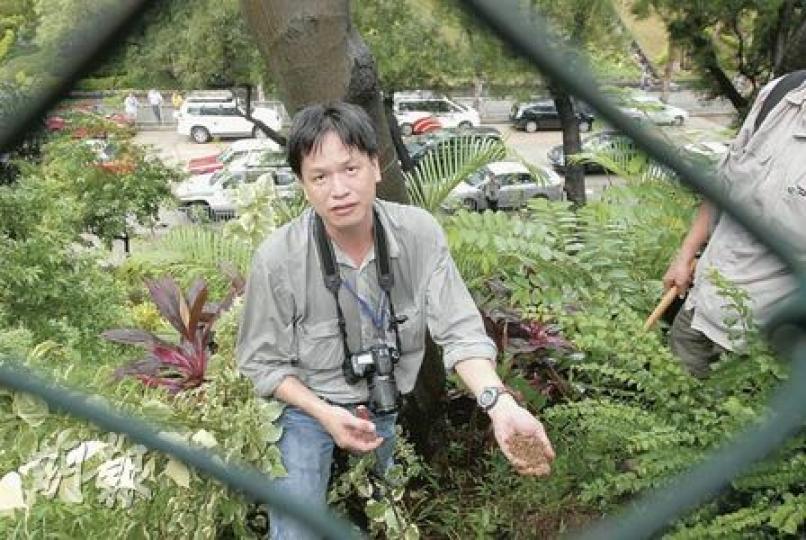 樹木辦總監周錦超昨日到黃大仙鳳舞街塌樹現場視察,指當中約3棵大樹需要加快安排處理,強調無即時倒塌危險。(劉友光攝)黃大仙鳳舞街塌樹位置,昨日已蓋上帆布,樹木辦昨日檢視該處一帶的樹木,發現3棵需要加快處理,部分樹木亦已拉繩,以固定樹身。(劉友光攝) 樹木辦總監周錦超昨日到黃大仙鳳舞街塌樹現場視察,指當中約3棵大樹需要加快安排處理,強調無即時倒塌危險。(劉友光攝)黃大仙鳳舞街塌樹位置,昨日已蓋上帆布,樹木辦昨日檢視該處一帶的樹木,發現3棵需要加快處理,部分樹木亦已拉繩,以固定樹身。(劉友光攝)