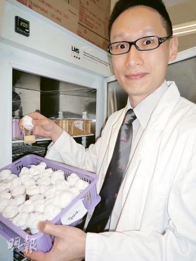 陳浩然利用果蠅測試證實Fibrillar Aggregates令小腦萎縮,未來會繼續研發針對Fibrillar Aggregates的化學物質,將來成為有效的治療藥物。(彭美芳攝) 陳浩然利用果蠅測試證實Fibrillar Aggregates令小腦萎縮,未來會繼續研發針對Fibrillar Aggregates的化學物質,將來成為有效的治療藥物。(彭美芳攝)