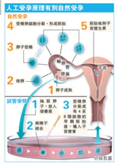 (明報製圖) (明報製圖)