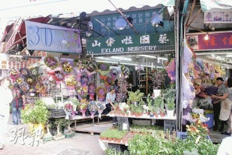 涉嫌出售迷幻仙人掌的花店昨日如常營業,但負責人拒絕回應任何提問。(劉友光攝) 涉嫌出售迷幻仙人掌的花店昨日如常營業,但負責人拒絕回應任何提問。(劉友光攝)