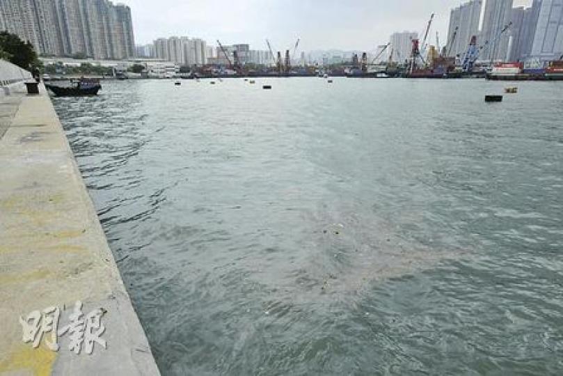 西九海濱長廊一帶有不少貴價屋苑,被發展商打造成高級海景區,但附近新油麻地避風塘的「海景」卻令環境大打折扣,除了清楚可見水面漂浮着大量「不明物體」,海水亦不時傳出異味,居民多番投訴亦未見改善。(葉漢華攝)香港公開大學應用科技學院院長何建宗負責替新油麻地避風塘化驗水質,圖為他昨日在記者會上向傳媒展示一個在岸邊抽取的黑色沉積物樣本。(葉漢華攝)每天早上例必晨運的退休人士尹先生,偶然會被海濱長廊傳來的惡臭「趕走」,雖在維港灣居住卻無法隨時享受維港優美環境,無奈嘆說﹕「無辦法,習慣了(臭味)就不會太覺。」 西九海濱長廊一帶有不少貴價屋苑,被發展商打造成高級海景區,但附近新油麻地避風塘的「海景」卻令環境大打折扣,除了清楚可見水面漂浮着大量「不明物體」,海水亦不時傳出異味,居民多番投訴亦未見改善。(葉漢華攝)香港公開大學應用科技學院院長何建宗負責替新油麻地避風塘化驗水質,圖為他昨日在記者會上向傳媒展示一個在岸邊抽取的黑色沉積物樣本。(葉漢華攝)每天早上例必晨運的退休人士尹先生,偶然會被海濱長廊傳來的惡臭「趕走」,雖在維港灣居住卻無法隨時享受維港優美環境,無奈嘆說﹕「無辦法,習慣了(臭味)就不會太覺。」