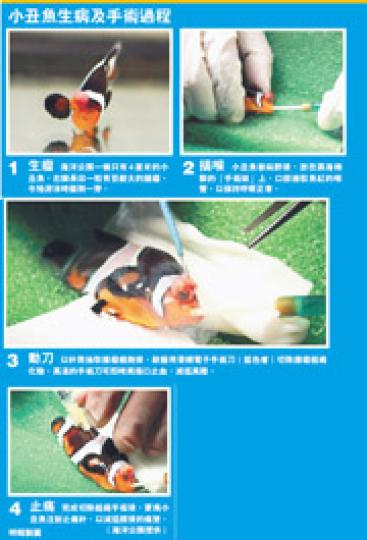 (明報製圖) (明報製圖)