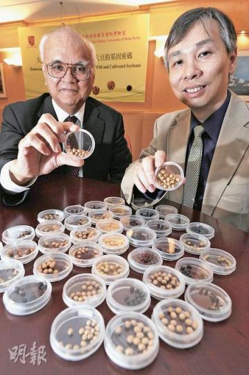 中大農業生物技術國家重點實驗室主任辛世文教授(左)及副主任林漢明教授,領導大豆基因研究,終破解大豆的基因密碼,有助培植更耐旱的大豆品種,應付糧食危機,獲權威學術雜誌《自然遺傳》(Nature Genetics)刊登為封面故事。(何家達攝) 中大農業生物技術國家重點實驗室主任辛世文教授(左)及副主任林漢明教授,領導大豆基因研究,終破解大豆的基因密碼,有助培植更耐旱的大豆品種,應付糧食危機,獲權威學術雜誌《自然遺傳》(Nature Genetics)刊登為封面故事。(何家達攝)