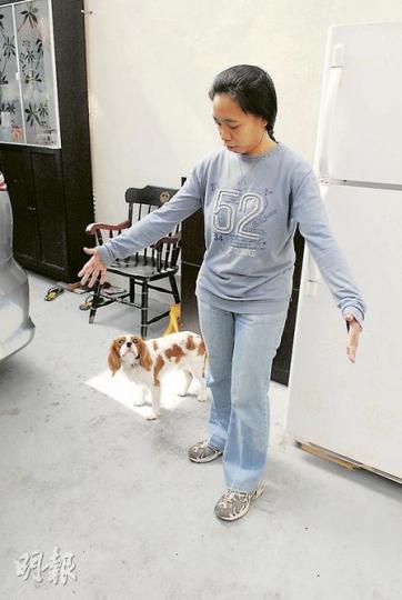 女菲傭Brenda比劃野豬體型，旁邊是首先發現野豬蹤影的查理王小獵犬「鄧不利多」。（何朝財攝）淺水灣南灣道12A豪宅5號屋地下花園（圖），昨晨出現一隻近100公斤重大野豬。漁護署人員事後發現花園泥地有野豬腳印。（何朝財攝）