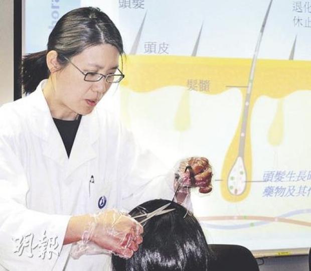 社工或醫護人員為接受驗毒者剪一小束約一毫子硬幣厚的頭髮，送往政府化驗所驗毒，為顧及驗毒者儀容，會盡量選取底層頭髮，整個過程需約5分鐘。（蕭輝浩攝）禁毒專員黃碧兒（左）昨日巡視政府化驗所，了解今年6月推出的頭髮驗毒先導計劃的執行情况，並在化驗師李詠文（右）協助下嘗試頭髮驗毒工作。（蕭輝浩攝）