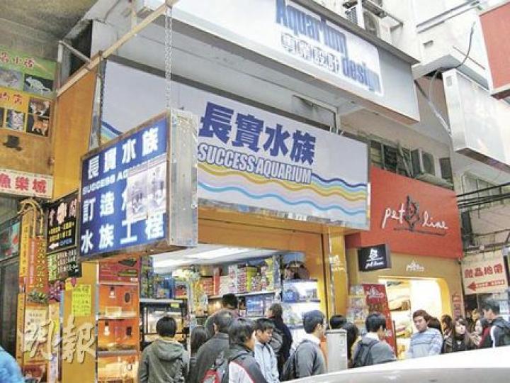 被偷去白化蘇卡達小象龜的「長實水族」,昨拒絕回應記者任何問題。(梁珮珊攝) 被偷去白化蘇卡達小象龜的「長實水族」,昨拒絕回應記者任何問題。(梁珮珊攝)