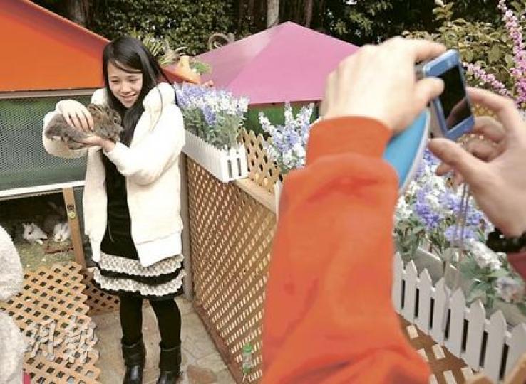 活動吸引不少市民付費進場親親兔子,但遊客抱起及讓兔子乖乖拍照,可能會令兔子受傷。(余俊亮攝)兔協擔心過多兔子過處一室,會衍生過度繁殖問題。(余俊亮攝) 活動吸引不少市民付費進場親親兔子,但遊客抱起及讓兔子乖乖拍照,可能會令兔子受傷。(余俊亮攝)兔協擔心過多兔子過處一室,會衍生過度繁殖問題。(余俊亮攝)