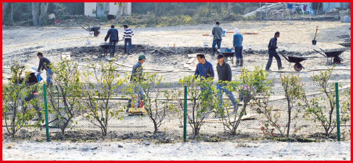 工人連日在大浪西灣趕工,為土地鋪上草皮。(何家達攝)大浪西灣工地已豎立鐵絲網,工地員工說,內裏是私人重地,市民不得進入,將來亦不會開放。(何家達攝)大浪西灣工地的部分土地闢作菜田,有員工在耕作,大浪西灣村長黎恩稱,會與村民分享園內種植的蔬菜。(何家達攝)大浪西灣工地近日復工,市民已無法進入;施工地點上卻豎立了「政府土地」的告示牌。(何家達攝) 工人連日在大浪西灣趕工,為土地鋪上草皮。(何家達攝)大浪西灣工地已豎立鐵絲網,工地員工說,內裏是私人重地,市民不得進入,將來亦不會開放。(何家達攝)大浪西灣工地的部分土地闢作菜田,有員工在耕作,大浪西灣村長黎恩稱,會與村民分享園內種植的蔬菜。(何家達攝)大浪西灣工地近日復工,市民已無法進入;施工地點上卻豎立了「政府土地」的告示牌。(何家達攝)