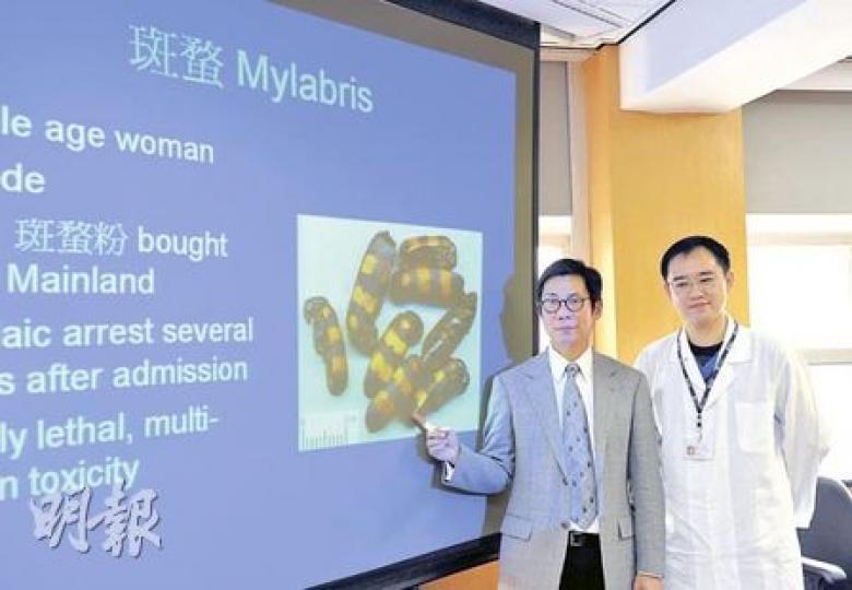 香港中毒諮詢中心副總監謝萬里醫生（左）說，去年曾接獲一宗服食劇毒甲蟲「斑蝥」來自殺的個案，服食者最後不治。旁為中心副顧問醫生陳志強。後圖為含劇毒的斑蝥，只需半指甲分量即可致死。（曾愛盈攝）