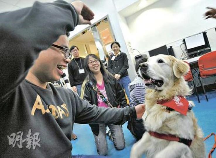 中華錫安傳道會「重拾動力」計劃與動物團體合作,讓隱青透過與動物相處,重新學習與人溝通、重投社會。圖中為受助青年海恩。(葉漢華攝) 中華錫安傳道會「重拾動力」計劃與動物團體合作,讓隱青透過與動物相處,重新學習與人溝通、重投社會。圖中為受助青年海恩。(葉漢華攝)