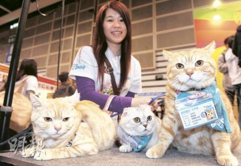 動物醫生「阿豬」（左起）、「Marie」和「法拉利」和主人黃綺珊昨日一同出席「動物醫生宣誓就職典禮2011」。（劉焌陶攝）狗主Michelle和狗狗Horlick 齊齊出席「動物醫生宣誓典禮2011」，Horlick會玩雜耍，圖中牠正表演如何「Give me five」。（余卓善攝）