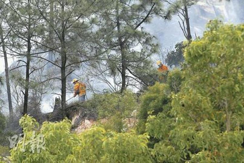 沙田作壆坑新村山頭日發生山火，消防員帶同背泵及山火拍徒步登山撲救。（屈俊樂攝）