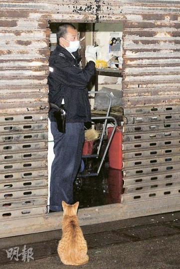 西環副食品市場一間魚檔昨午有女工被發現上吊身亡，女死者生前飼養的花貓，似乎知道主人已經走了，徘徊良久「喵喵」哀鳴。（林錫禮攝）
