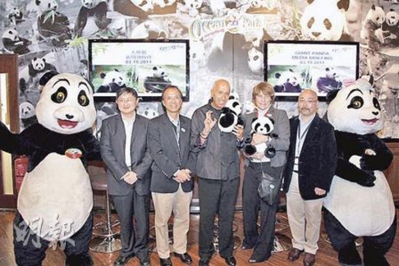 海洋公園主席盛智文（中）昨日與一眾同事及中國保護大熊貓研究中心獸醫主管王承東（左一）會見記者，其間盛智文多次交叉手指，祝願盈盈、樂樂順利誕下小寶寶。（歐文瀚攝）