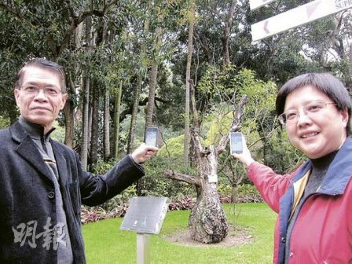 程式開發公司總裁互聯網專業協會會長鄧淑明（右）表示，完成開發「樹印2.0」程式後，得到鳳溪公立學校行政總裁馬紹良（左）協助，動員該校學生試用程式，因此樹印網站昨開始運作，地圖上已多了300多棵樹木。（馬耀森攝）（明報製圖）
