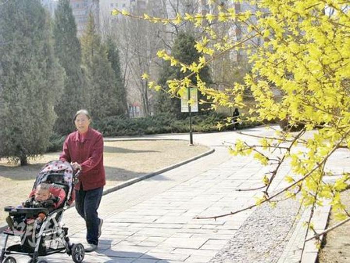 北京氣溫回升，春暖花開。昨日在方莊公園，樹枝上長滿綠葉，市民帶孩子來賞春。（劉洪慶攝）這名戴着眼罩的小童，由家長帶到公園看迎春花。（劉洪慶攝）