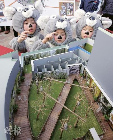 海洋公園將於2014年迎接首批共4隻樹熊，昨日並介紹樹熊館的設計概念（圖），一眾小樹熊也大感興趣。（李紹昌攝）
