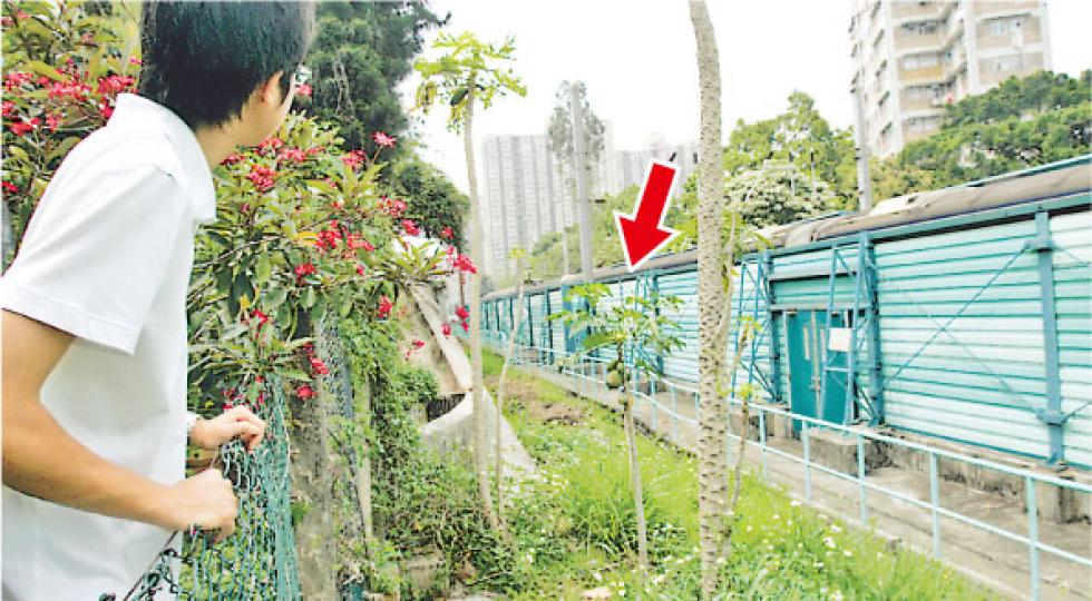 本報發現,大埔墟忠信里1b單位對開位置,於花槽上的鐵絲網圍欄高度僅及記者腰部,可輕易跨越,再沿隔音屏障前行即可到達路軌(見圖及中圖)。路軌範圍內更疑有人種下木瓜樹(箭嘴示)。(鍾炳然攝)由大埔墟忠信里1b單位對開位置,沿隔音屏障前行約30米到盡頭便可到達路軌位置。(鍾炳然攝) 本報發現,大埔墟忠信里1b單位對開位置,於花槽上的鐵絲網圍欄高度僅及記者腰部,可輕易跨越,再沿隔音屏障前行即可到達路軌(見圖及中圖)。路軌範圍內更疑有人種下木瓜樹(箭嘴示)。(鍾炳然攝)由大埔墟忠信里1b單位對開位置,沿隔音屏障前行約30米到盡頭便可到達路軌位置。(鍾炳然攝)