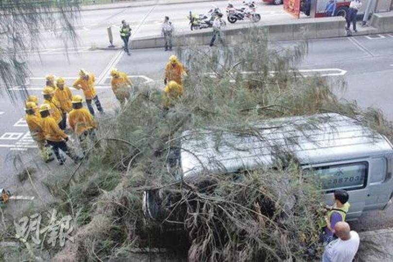 送飯盒客貨車在黃泥涌峽道遭塌下樹椏壓正車頭,消防到場調查是否有人被困。(雲錦鋒攝) 送飯盒客貨車在黃泥涌峽道遭塌下樹椏壓正車頭,消防到場調查是否有人被困。(雲錦鋒攝)
