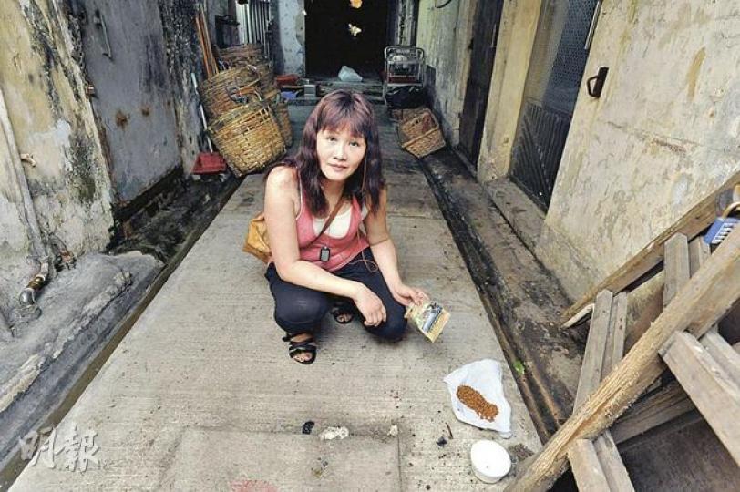 貓義工楊小姐,每天都會穿梭深水埗大街小巷餵飼流浪貓,圖中小巷,即為小貓「金毛」喪命之地。(尹錦恩攝)獸醫診所展示遭虐殺流浪貓「金毛」治療時的X光片,可見牠尾龍骨折斷。(梁琬珊攝) 貓義工楊小姐,每天都會穿梭深水埗大街小巷餵飼流浪貓,圖中小巷,即為小貓「金毛」喪命之地。(尹錦恩攝)獸醫診所展示遭虐殺流浪貓「金毛」治療時的X光片,可見牠尾龍骨折斷。(梁琬珊攝)