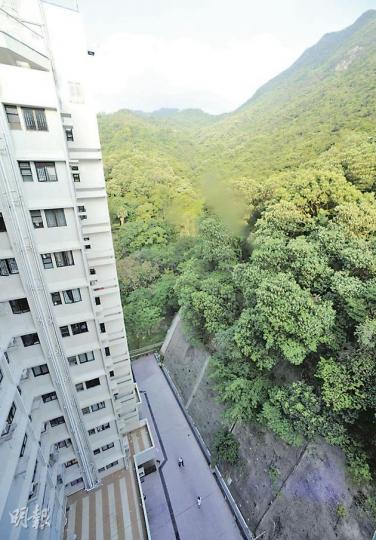 薄扶林豪宅碧林大廈因危險斜坡而被六度釘契,研究報告指出,碧林大廈對開斜坡,有可能整幅或局部坍塌,可能導致有人受傷或財產損毁的危險,所以要發出危險斜坡修葺令。(余俊亮攝) 薄扶林豪宅碧林大廈因危險斜坡而被六度釘契,研究報告指出,碧林大廈對開斜坡,有可能整幅或局部坍塌,可能導致有人受傷或財產損毁的危險,所以要發出危險斜坡修葺令。(余俊亮攝)