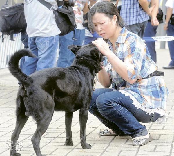 塌簷篷後,工廈地舖車房老闆娘王太(右)3頭愛犬被困車房幾小時,後來獲救,令王太放下心頭大石。(余俊亮攝) 塌簷篷後,工廈地舖車房老闆娘王太(右)3頭愛犬被困車房幾小時,後來獲救,令王太放下心頭大石。(余俊亮攝)
