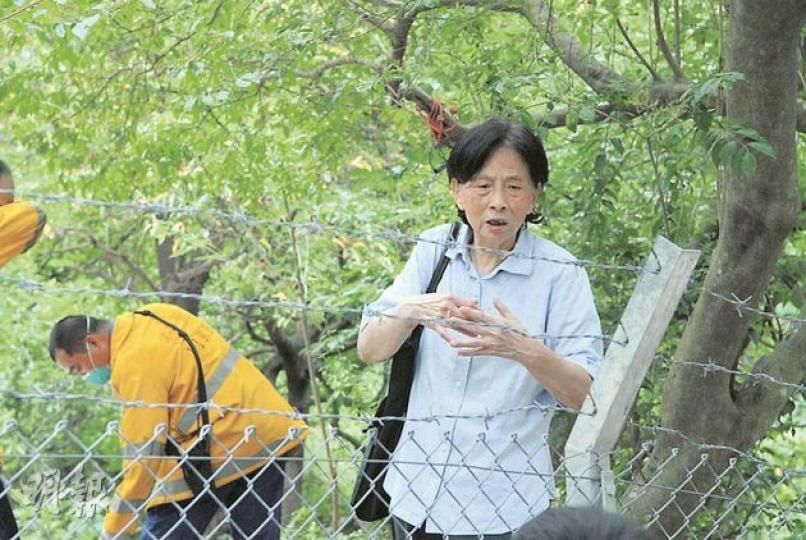 報稱到沙田坳道「欣賞」白蘭花的姓張老婦,事後講述發現上吊腐屍經過時,驚慌心情仍未平復。(林小詩攝)姓張男子失蹤多日,至昨日被發現在沙田坳道一處隱蔽樹林上吊身亡。屍體從樹上解下時,已見發黑及傳出腐臭味。(林小詩攝) 報稱到沙田坳道「欣賞」白蘭花的姓張老婦,事後講述發現上吊腐屍經過時,驚慌心情仍未平復。(林小詩攝)姓張男子失蹤多日,至昨日被發現在沙田坳道一處隱蔽樹林上吊身亡。屍體從樹上解下時,已見發黑及傳出腐臭味。(林小詩攝)