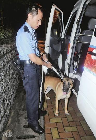 被截查男子推跌警員後逃入山中,大批警員帶同警犬,在直升機協助下搜索,惜無功而還。(蔡方山攝) 被截查男子推跌警員後逃入山中,大批警員帶同警犬,在直升機協助下搜索,惜無功而還。(蔡方山攝)