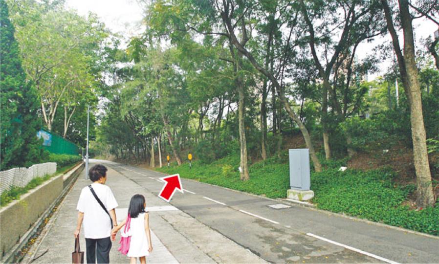 圖為沙田圓洲角公園旁的單車徑,去年意外發生前一個月,康文署員工曾到場巡查,但只檢查了前排樹木。圖中紅箭嘴所指是去年6月14日,塌樹疑壓斃正騎單車漢蔡傑強的地點。(林振東攝) 圖為沙田圓洲角公園旁的單車徑,去年意外發生前一個月,康文署員工曾到場巡查,但只檢查了前排樹木。圖中紅箭嘴所指是去年6月14日,塌樹疑壓斃正騎單車漢蔡傑強的地點。(林振東攝)