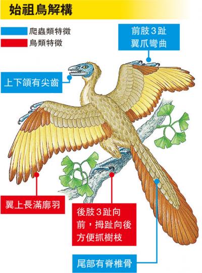 (明報製圖) (明報製圖)